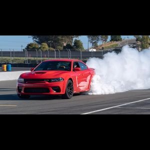 Meet your Posher, Isabelle